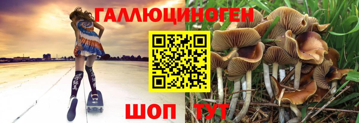 Псилоцибиновые грибы ЛСД  Вход с VPN  Рубцовск 